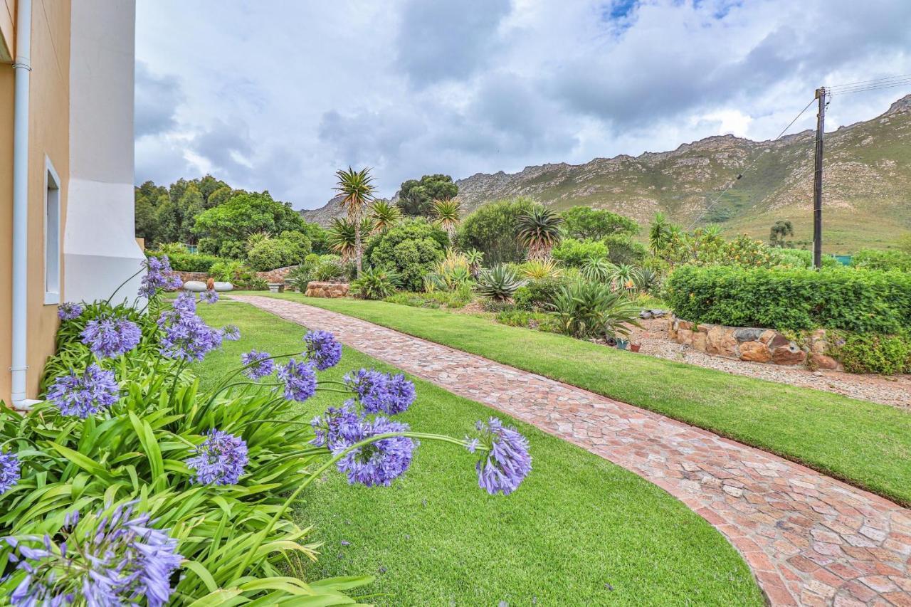 Apricot Gardens Guesthouse Gordonʼs Bay Zewnętrze zdjęcie